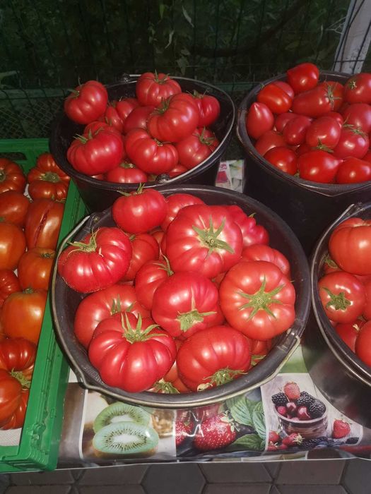 Vand rosii dulci si gustoase crescute ecologic din diverse soiuri
