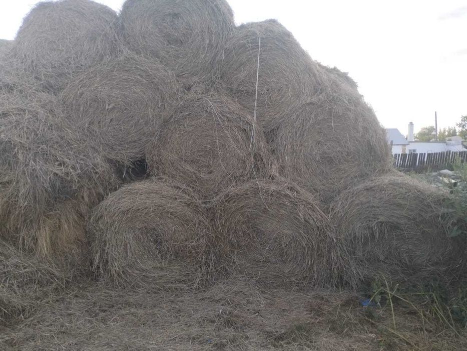 продаю сено в рулонах