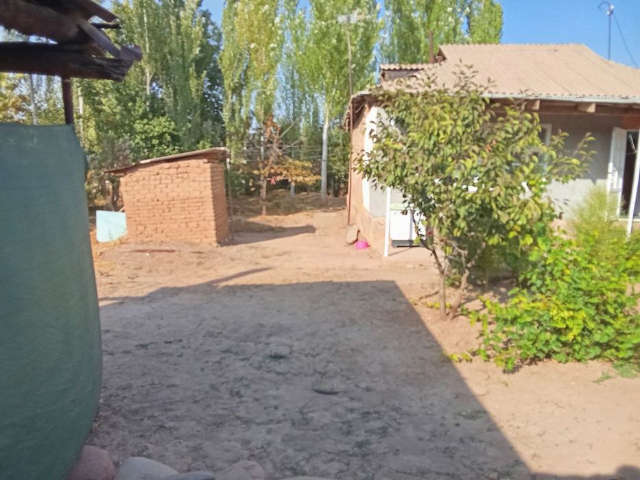 Ховли уй сотилади. Бустонлик тумани Думалок 11 сотхМФЙ, ЖИДАЗОР КУЧА 3