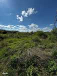 Teren intravilan, 3500 mp, zona Luna