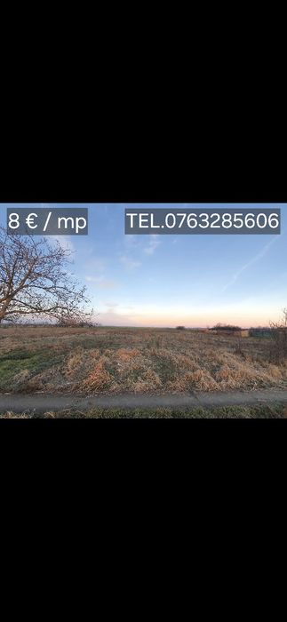 Vând teren intravilan 1.100 mp în Cenad județul Timiș 8 € / mp