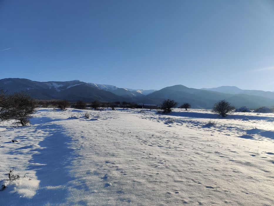 Teren Valea Berivoi 50 metri de parau 4500 m2