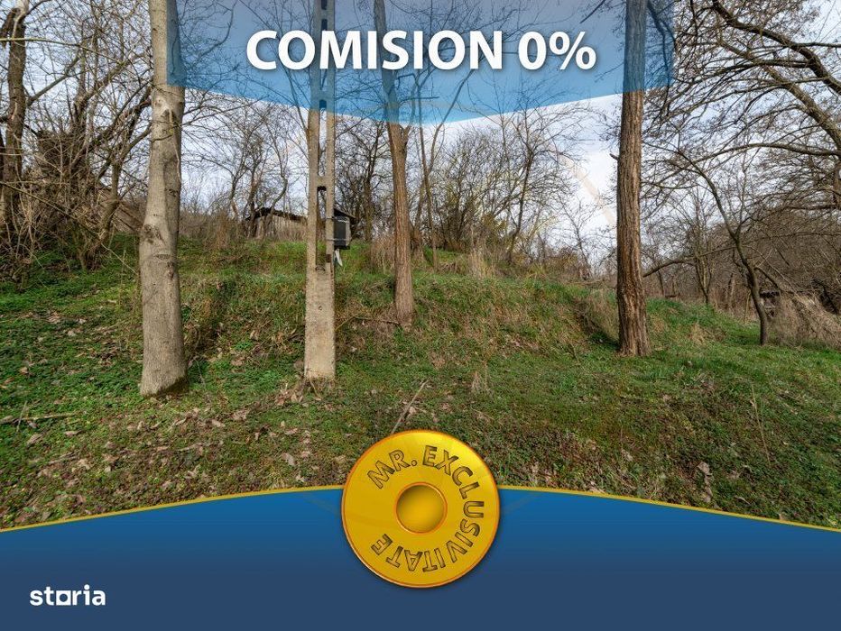 Teren de vanzare – 1221 mp in Budeasa Mica, zona linistita.