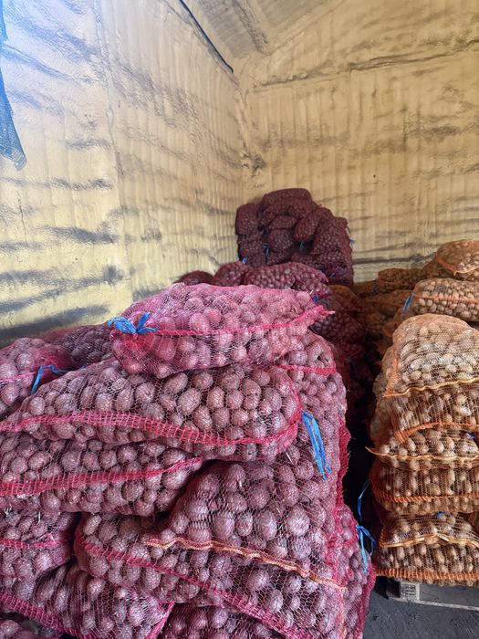 Cartofi de samanta sau animale