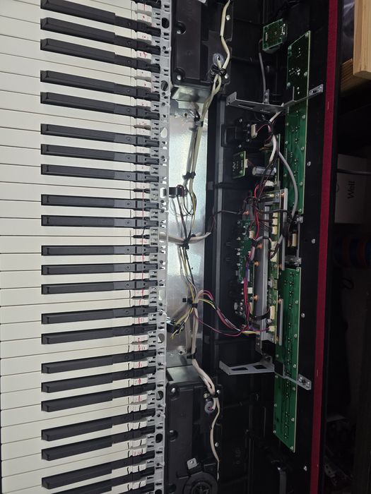 Service clape orga, Korg PA4x, PA5x Yamaha, Roland FR8x, FR7x midi