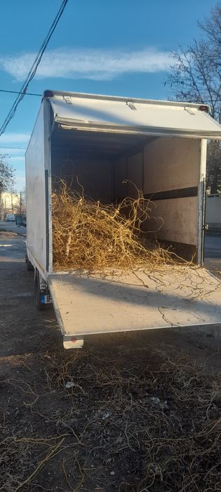 Taiere copaci toaletare frezare cioate