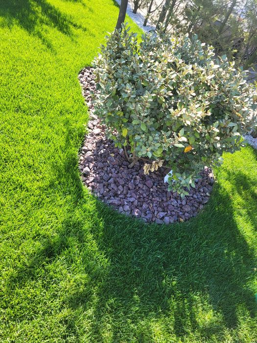 Vând piatra decorativa ornamentala