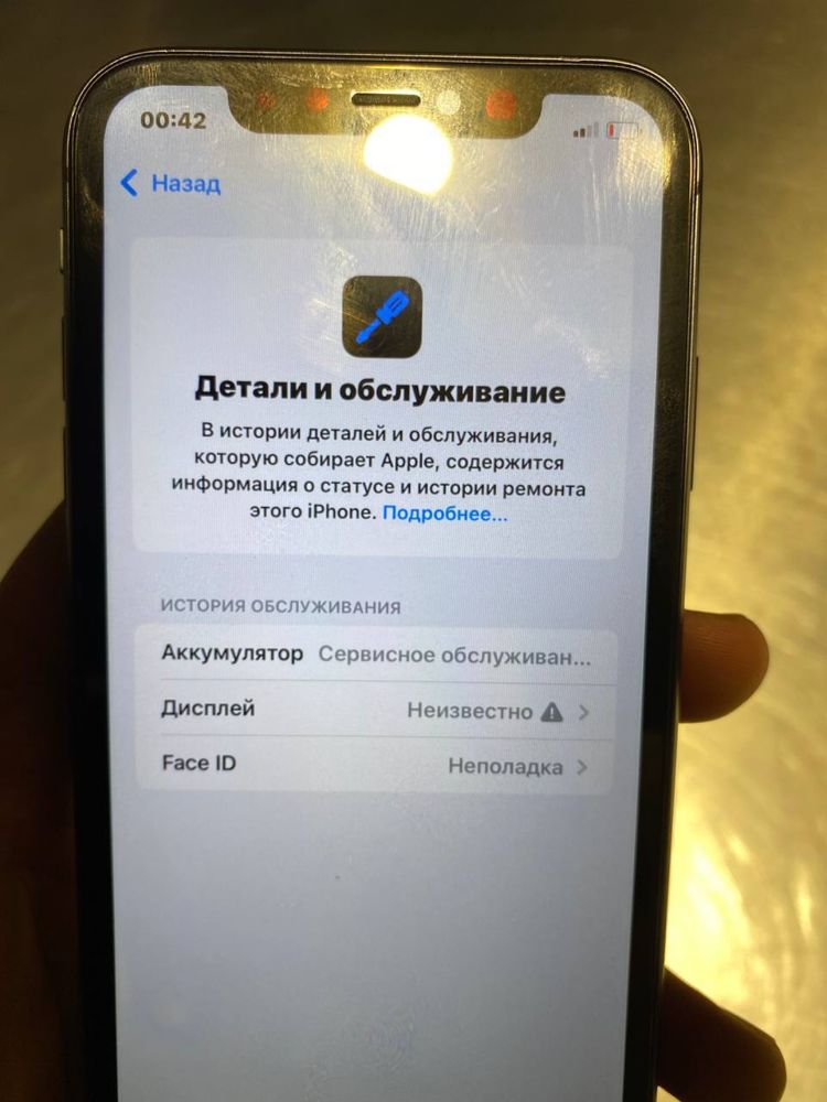 iPhone 11 srochna