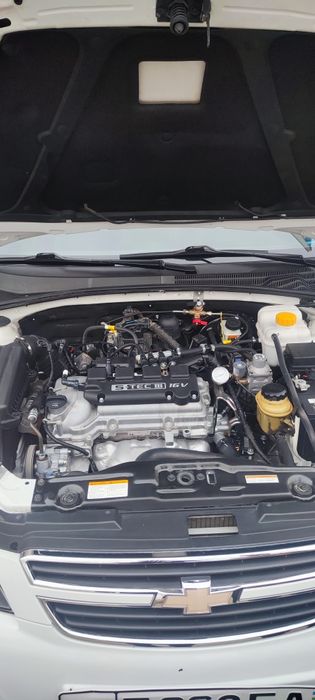 Жентра афтомат насия