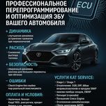 Прошивка двигателя Евро2, чип тюнинг, откл ЕГР, удаление катализаторов