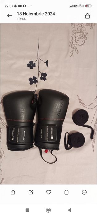Vand sac de box cu masnusi si fase