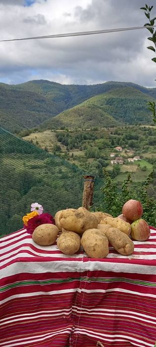 Едри картофи за пълнене!