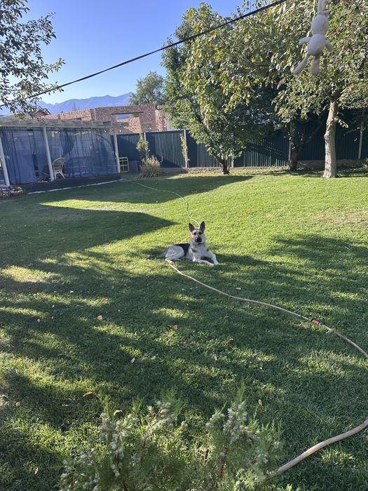 Ит сатам вео 9ай