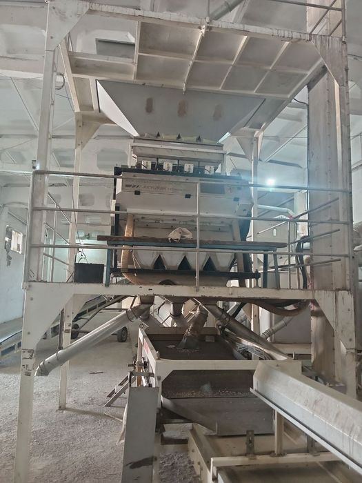 Fasol,Mosh,No'xat,Pista va boshqalarni tozalash xizmati xizsh