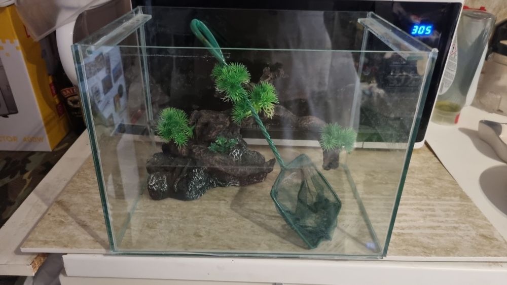 Аквариум със украса