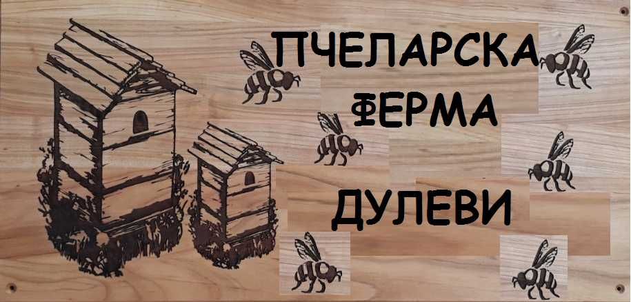 Биологични пчелни майки  от регистриран  производител сезон 2026 г.