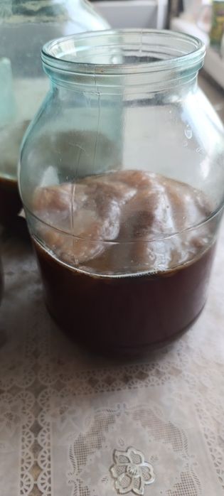 Чайный гриб.продам.