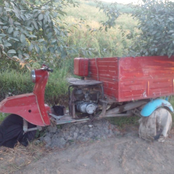 Муравей сотилади.