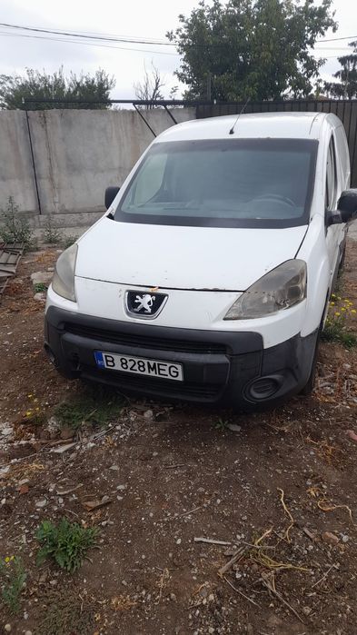 Vand duba pantet