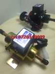 Minipompa Electrica 12v De Alimentare Diesel  Benzina