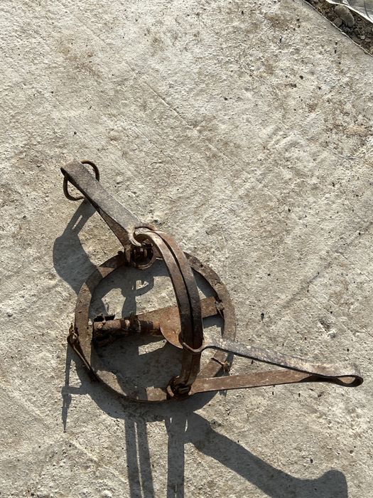 ловушка для животных