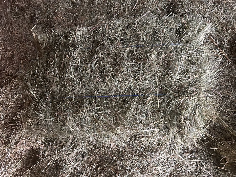 Baloti de fin de vinzare din 2025!