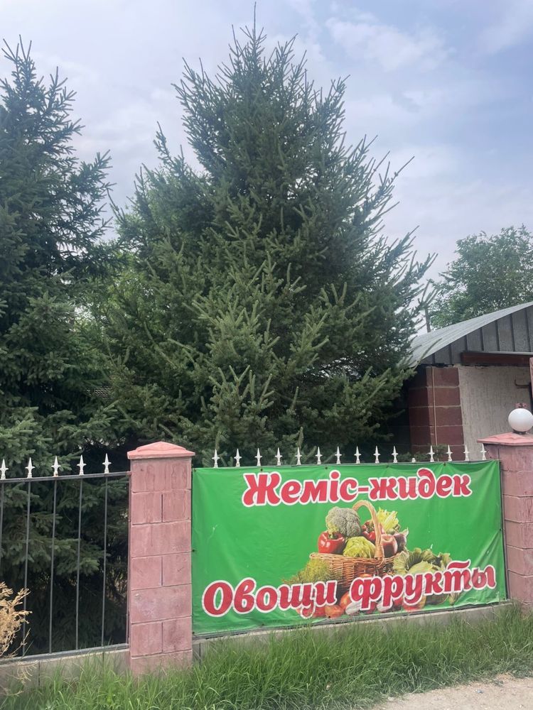 Продаю уличные елки