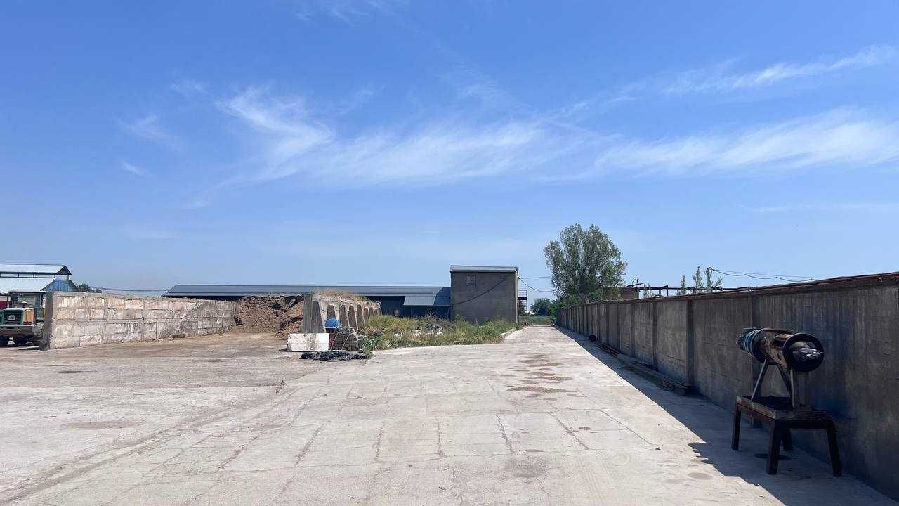 Продаю базу
С оборудованием для дойки коров
Янгиюль
2 гектара