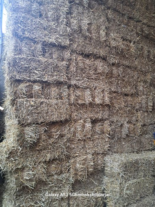 Baloti paie dreptunghiulari