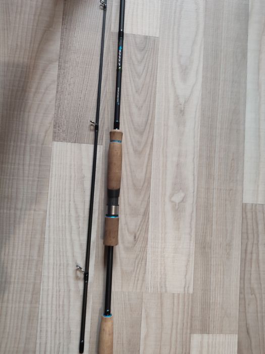 Lansete pescuit rapitor