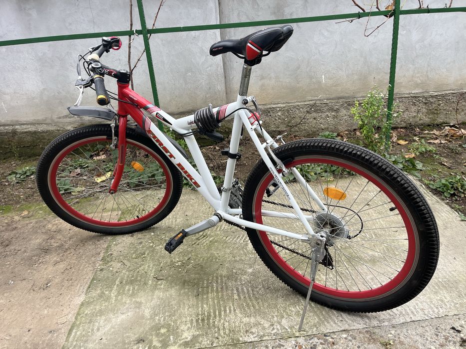 Bicicleta First Bike