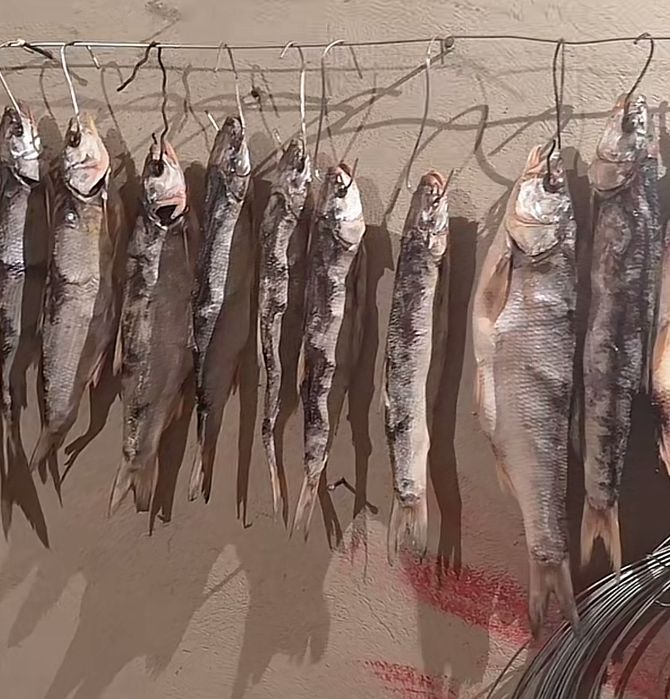 Рыба Копченная Атырау