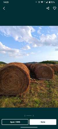 Baloți de lucernă