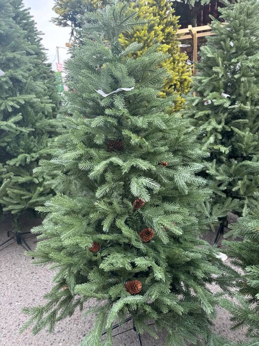 Qorli, yashil, g’uddali, qizil mevali ARCHA. Елки снежные, зеленые