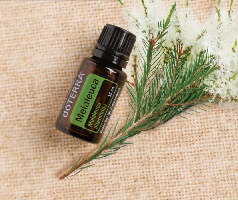 Melaleuca (Tea Tree) ulei esențial DoTerra 15mL