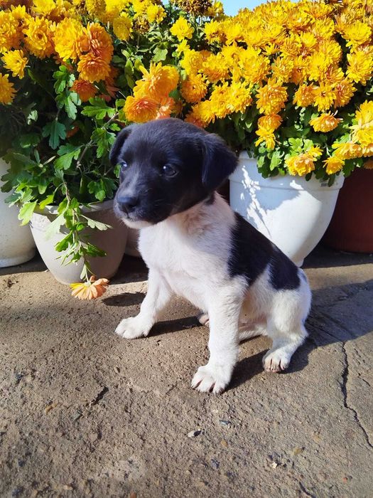 В очень добрые руки маленький мальчик