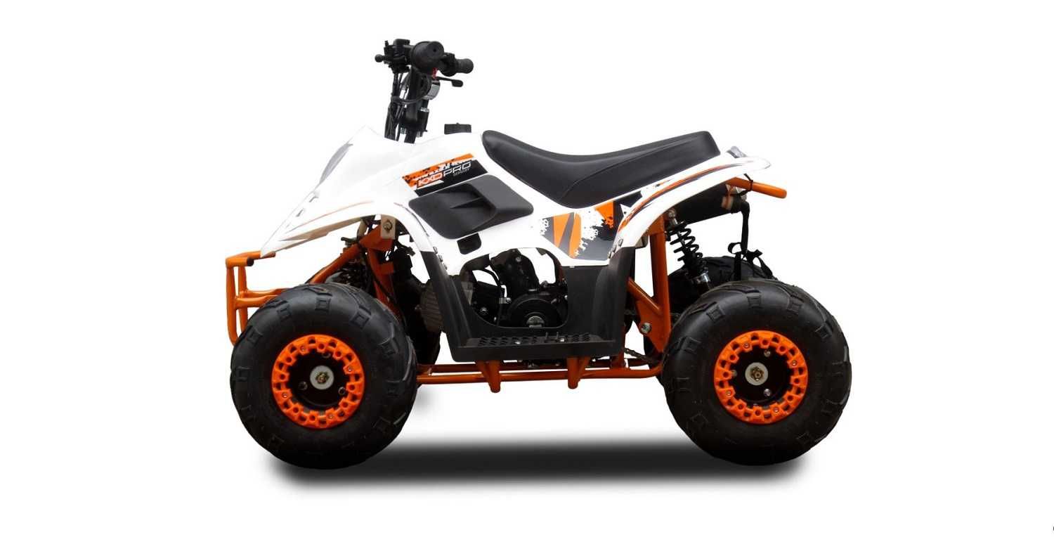 ATV pentru Copii pe Benzina 125cc Automat Import Germania Garantie