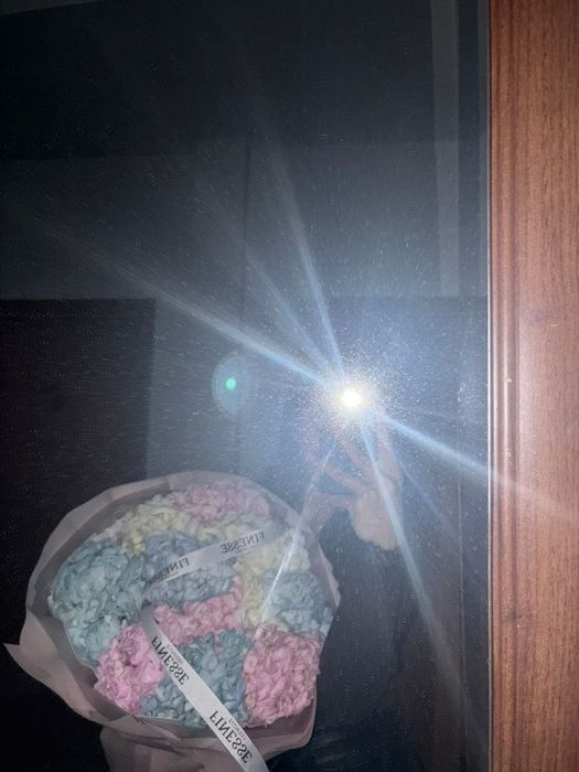 Гул гартензия 13мың