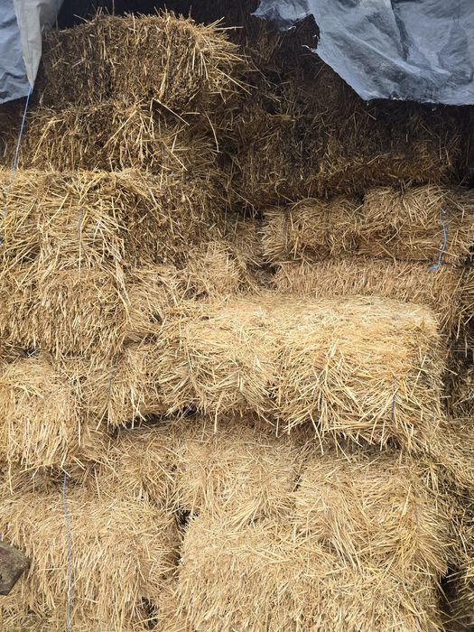 Baloti de paie pătrați