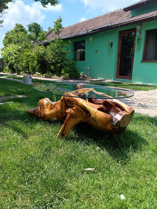 Măsuță living unicat cascada și pești vii