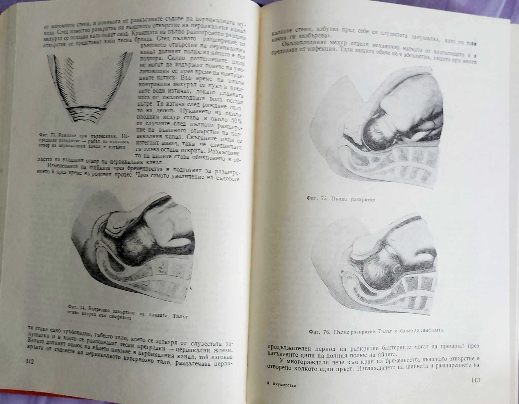 Акушерство- Ил. Щъркалев,  Л. Ламбрев