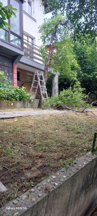 Почистване на дворове. Косене на трева, храсти, рязане на дървета.