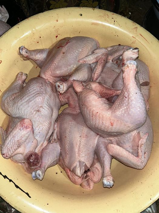 Продам мяса бролера