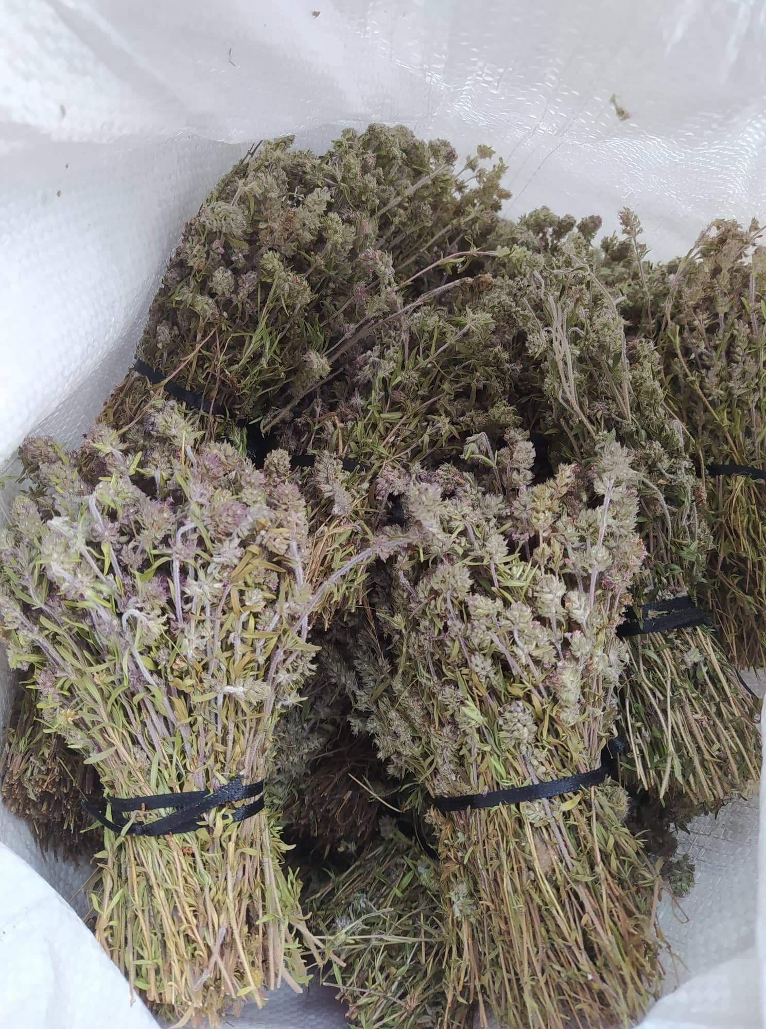 Мащерка за чай       .