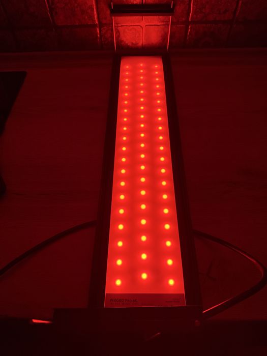 Lumina acvariu apa dulce WRGB2 pro 60