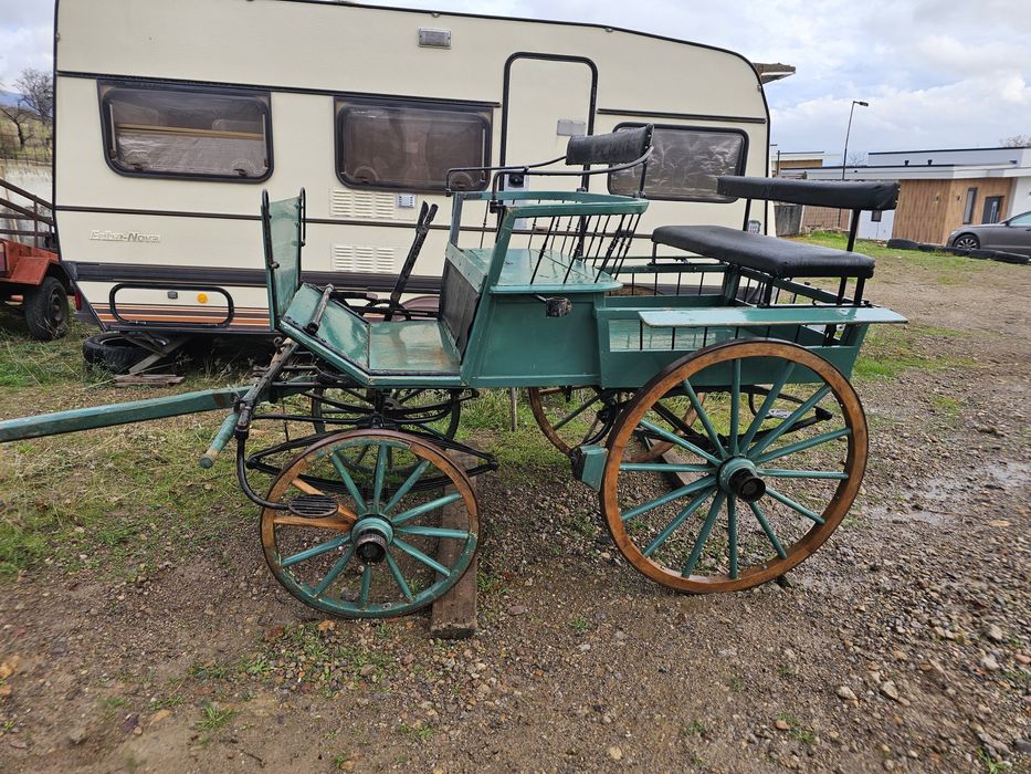 Карета каляска каруца файтон маратон кон кобила пони