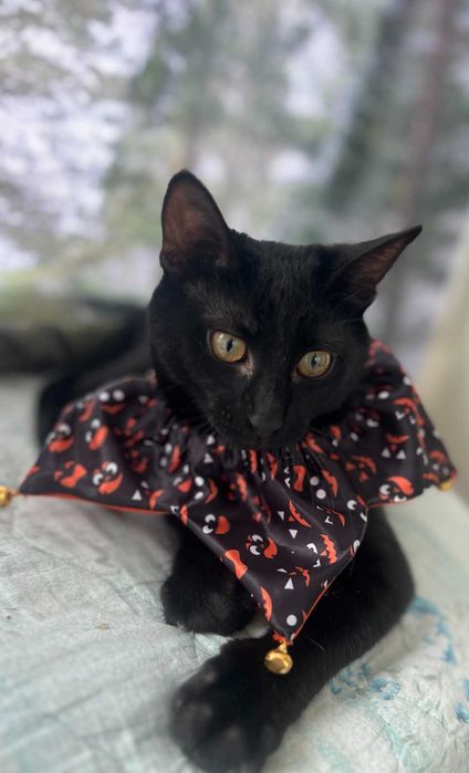 Енрике Иглесиас - Рики търси своя дом