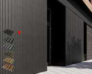 Wpc exterior riflaj