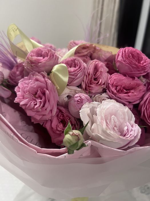 Продаю цветы розы