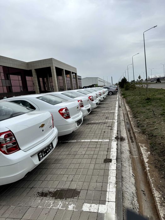 Аренда новых авто